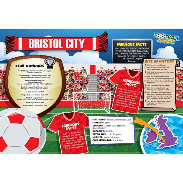 FOOTBALL CRAZY BRISTOL CITY (CRF400)