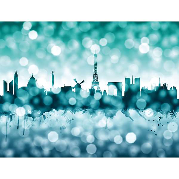 PARIS SKYLINE BOKEH WINTER